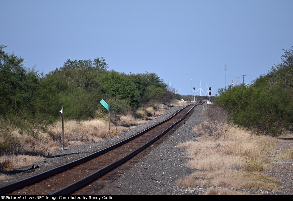 Bruni TX